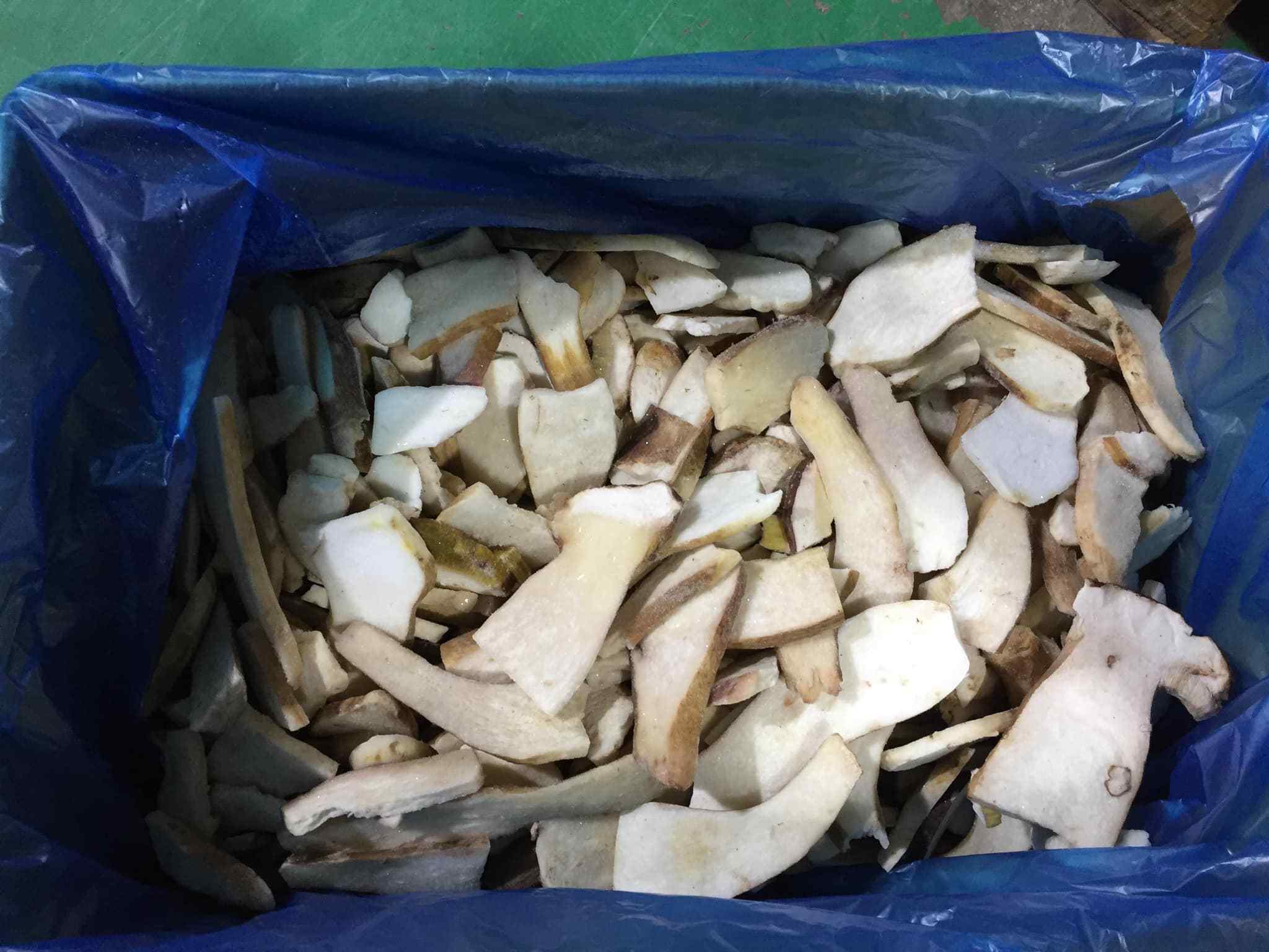 Wholesale Boletus Luteus Mushrooms / Frozen Porcini Mushrooms