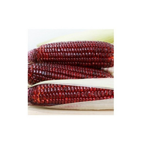 Nice Taste Red Color Frozen Corn Whole IQF Frozen Cob Sweet Yellow Corn | Dried Corn Grains