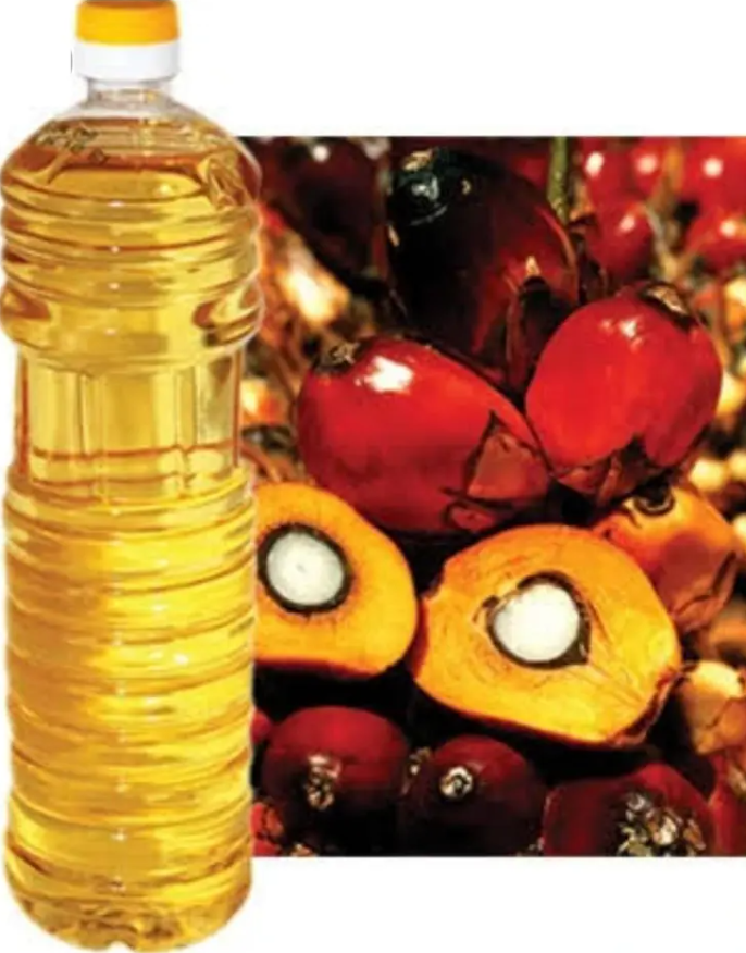 Healthy Rbd Palm Oil For Cooking in 1L To 5L PET Bottles/ First Grade Cooking Red Palm Oil