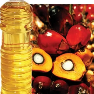 Healthy Rbd Palm Oil For Cooking in 1L To 5L PET Bottles/ First Grade Cooking Red Palm Oil