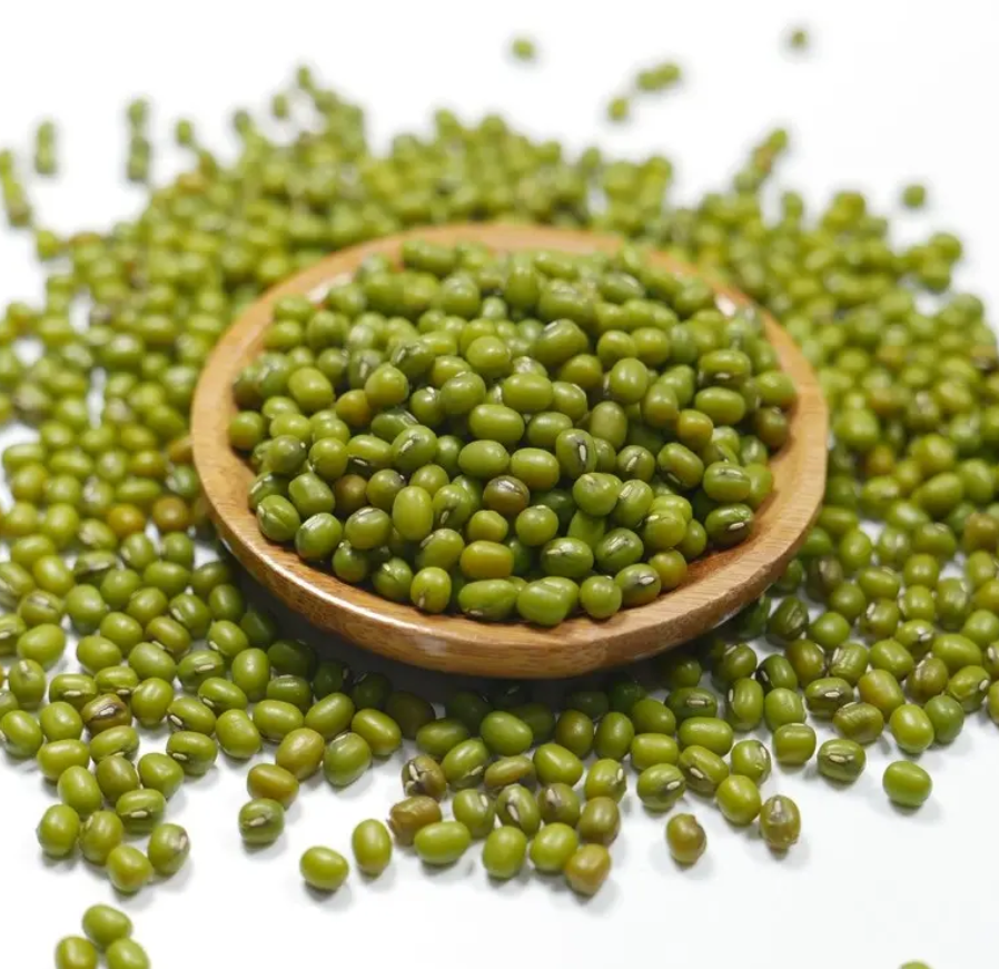 Factory Wholesale Denmark Cheap Green Mung Beans Food Vigna Mung Beans