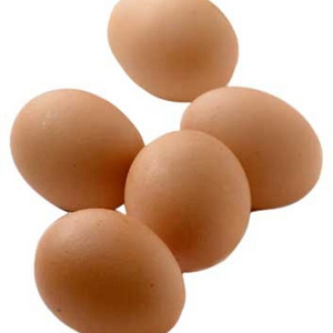 High Quality Fresh Chicken Eggs / Round Table Eggs for Sale / fertile hatching eggs for sale