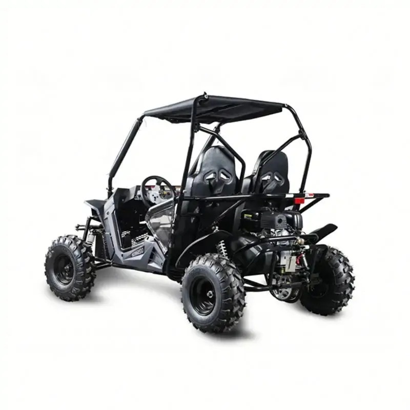 2020 Renli EEC5 500cc 4x4 Racing Dune Buggy 2 Seat Cheap Go Karts