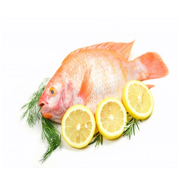 Frozen Whole Round Tilapia Manufacture Niloticus Frozen Fish Seafood Black Tilapia Cheap Price