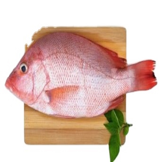 2024 Best Selling Vietnamese Black Tilapia IQF Frozen Fish High Quality Tilapia Fish Fillet Wholesale