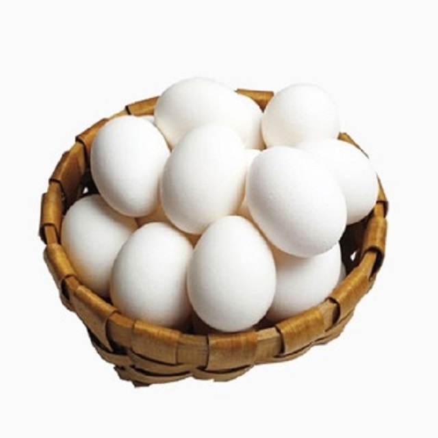 Wholesale Fertilized Chicken Eggs Cobb 500 Broiler Chicken Eggs Fresh Cobb 700 Fertile eggs