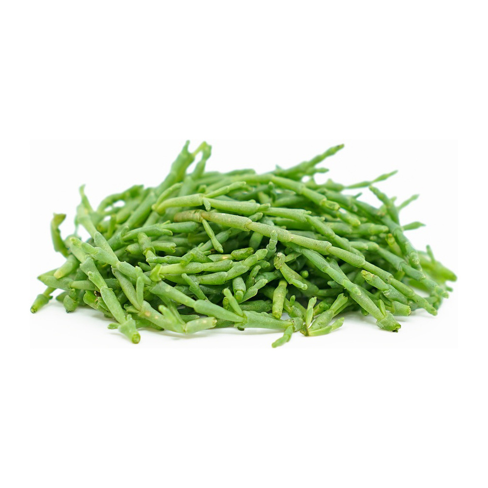 Factory Supply Silicornia Seeds /100% Dried Natural Silicornia Seeds For Sale low Price