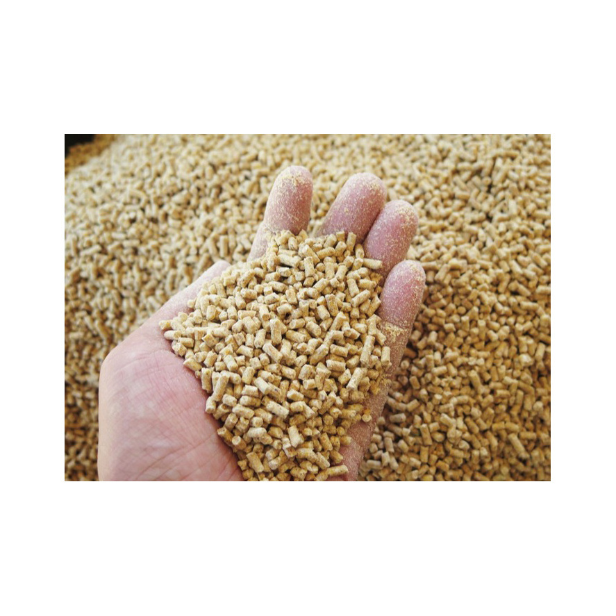 Wheat bran for animal feed in stock best price and quality Animal Feed