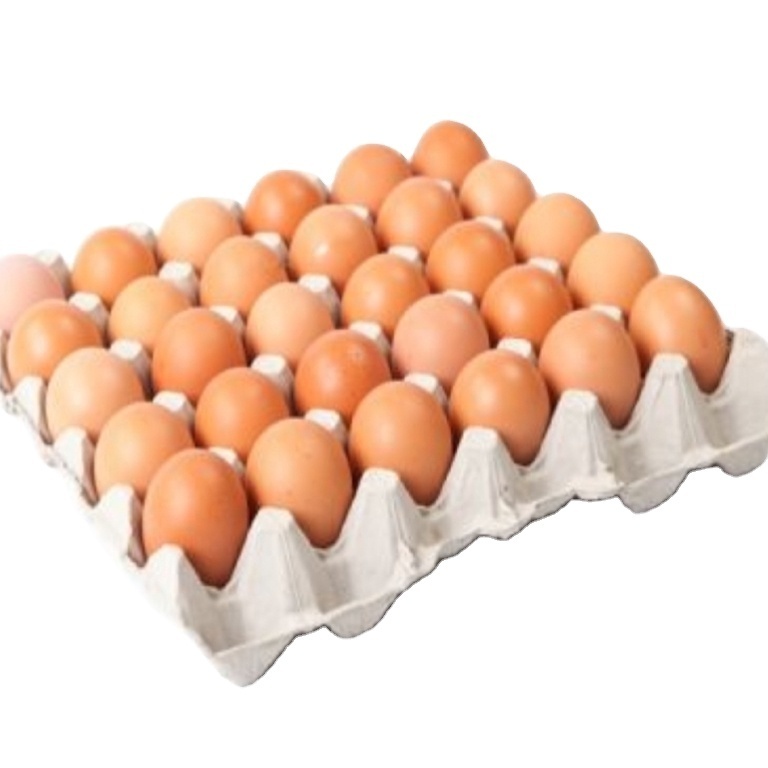 Wholesale Fertilized Chicken Eggs Cobb 500 Broiler Chicken Eggs Fresh Cobb 700 Fertile eggs