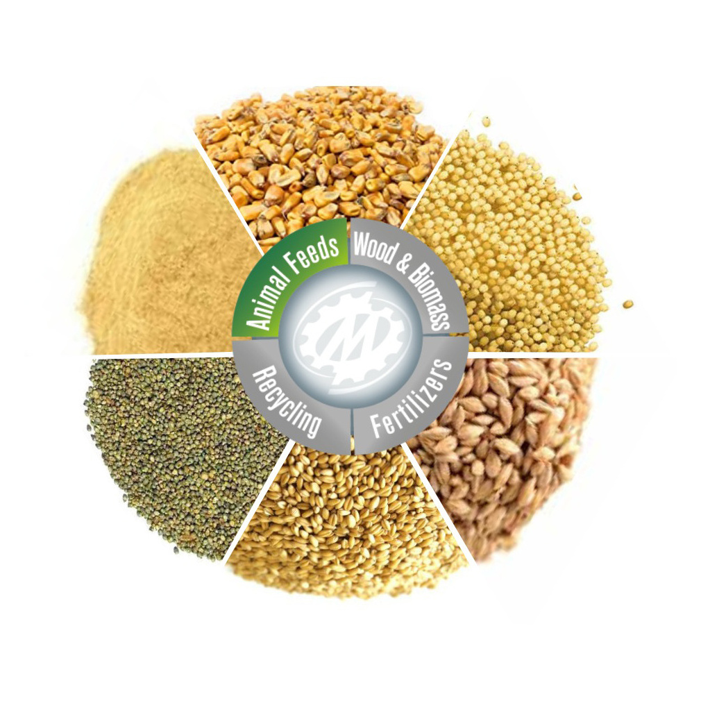 Wheat bran for animal feed in stock best price and quality Animal Feed