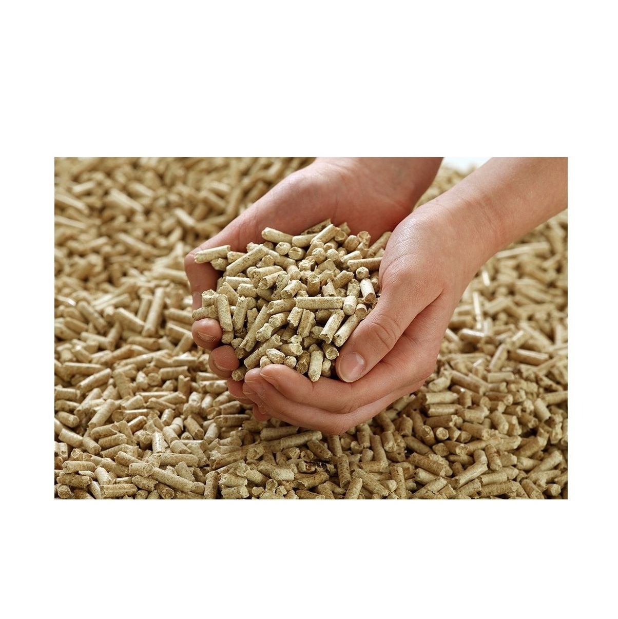 Buy Natural Pine Wood pellets High Quality A1 6mm 8mm 15kg Eco Friendly | White Pine Wood Pellets EN+A1 6mm Spruce Wood Pellets