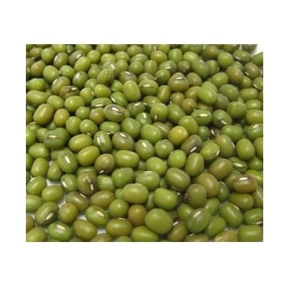 Top Quality Green Mung Beans for sale and export