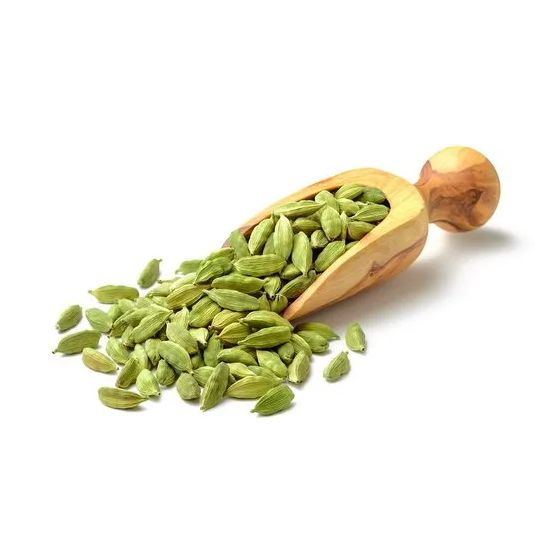 Cheap price Natural Best Quality Fresh Green Cardamom Spice for Wholesale green cardamom dry Best cardamom price