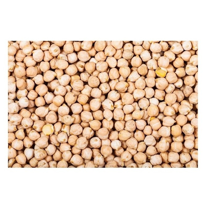 Top Grade Natural Bulk Chickpeas Dried Raw For Food Large 7mm - 9mm Pure Healthy Organic Chickpeas Egypt Top selling