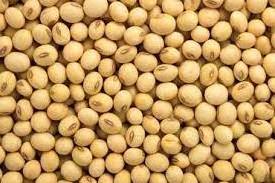 ANIMAL FEED 48% PROTEIN Soybean Meal /Quality Soyabeans Soy beans Meal For Sales