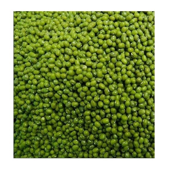 Top Quality Green Mung Beans for sale and export