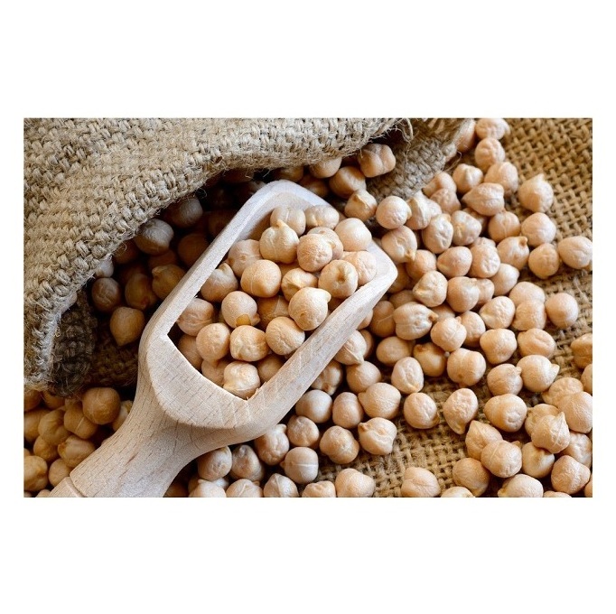 Top Grade Natural Bulk Chickpeas Dried Raw For Food Large 7mm - 9mm Pure Healthy Organic Chickpeas Egypt Top selling