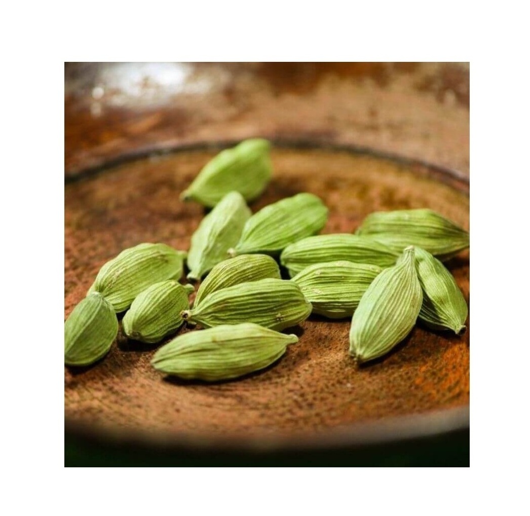 Cheap price Natural Best Quality Fresh Green Cardamom Spice for Wholesale green cardamom dry Best cardamom price