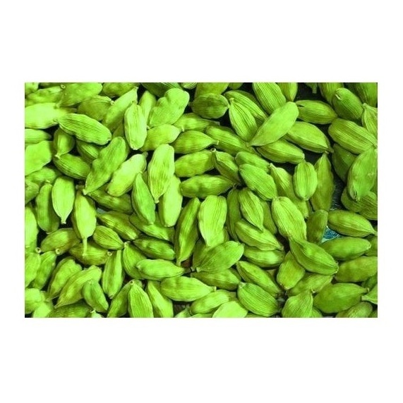 Cheap price Natural Best Quality Fresh Green Cardamom Spice for Wholesale green cardamom dry Best cardamom price