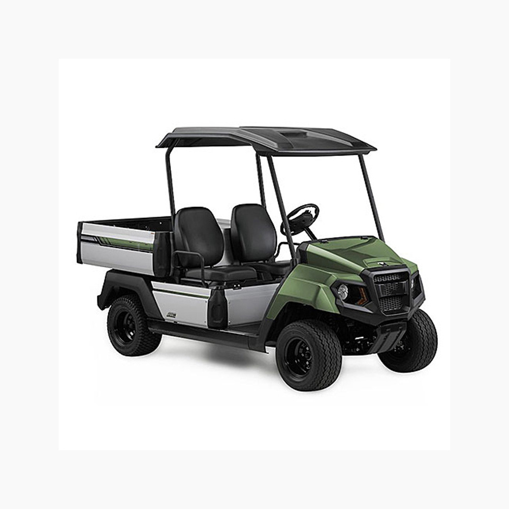 Golf Cart 6 seater