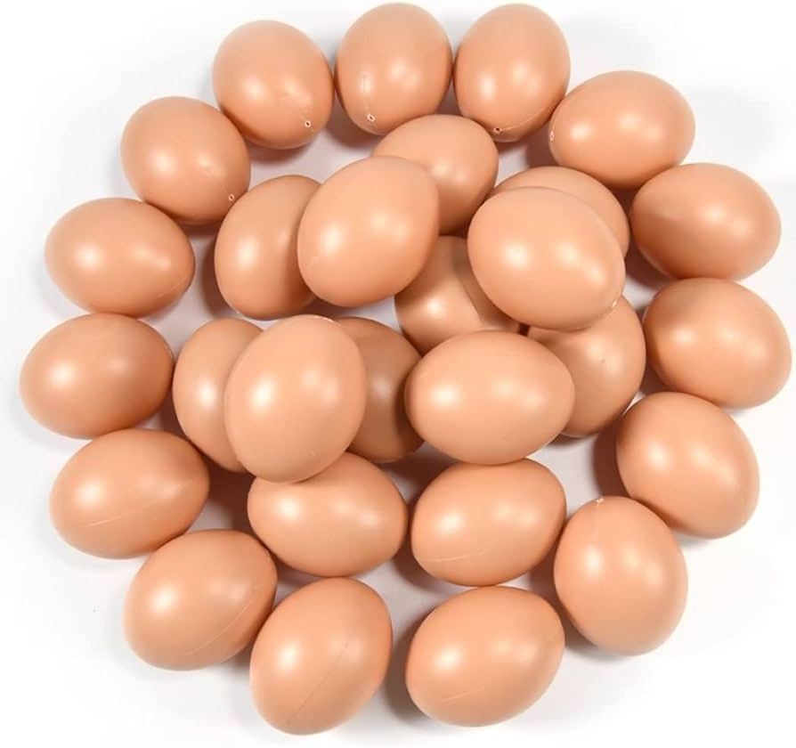 CERTIFIED IMPORT Fresh Chicken Eggs / Round Table Eggs / cheap Ostrich and Quail eggs for sale