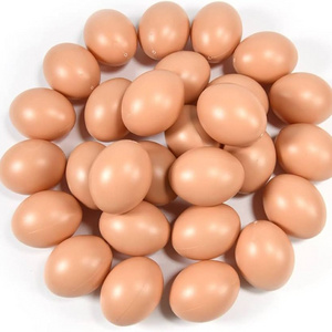 CERTIFIED IMPORT Fresh Chicken Eggs / Round Table Eggs / cheap Ostrich and Quail eggs for sale