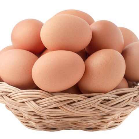 CERTIFIED IMPORT Fresh Chicken Eggs / Round Table Eggs / cheap Ostrich and Quail eggs for sale