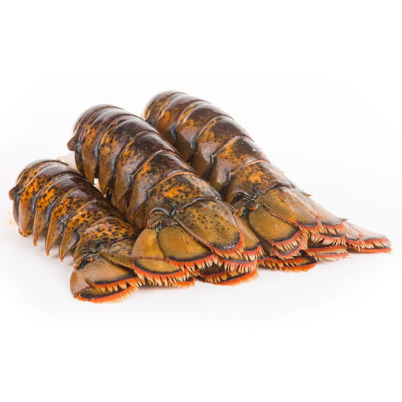 Frozen Lobster Tails Fresh Live Lobster Frozen Sea Food Lobsters Low Price