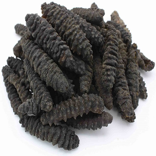 High quality dried sea cucumber sizes for beauty treatment dry sea cucumber dreaded sea cucumba Low Price