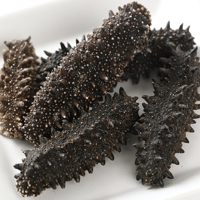 High quality dried sea cucumber sizes for beauty treatment dry sea cucumber dreaded sea cucumba Low Price