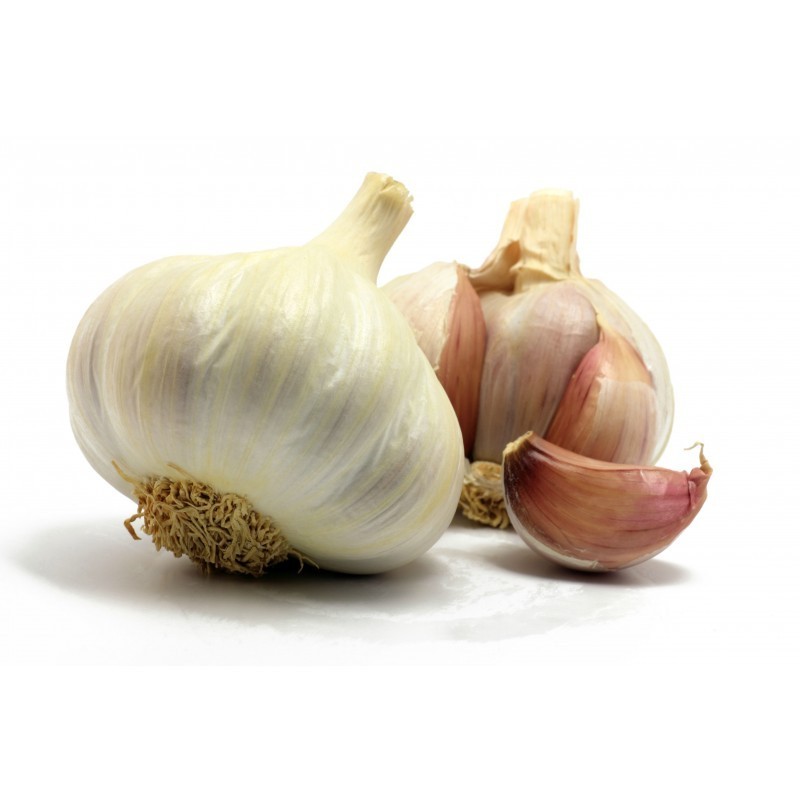 Fresh onion United kingdom solo garlic FRANCE small package single raw material factory price solo garlic supplier for wholesale