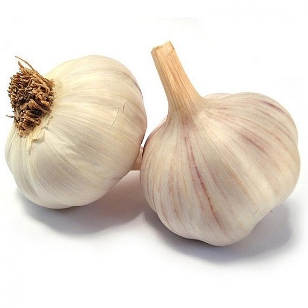 Fresh onion United kingdom solo garlic FRANCE small package single raw material factory price solo garlic supplier for wholesale