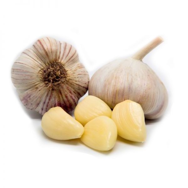 Fresh onion United kingdom solo garlic FRANCE small package single raw material factory price solo garlic supplier for wholesale