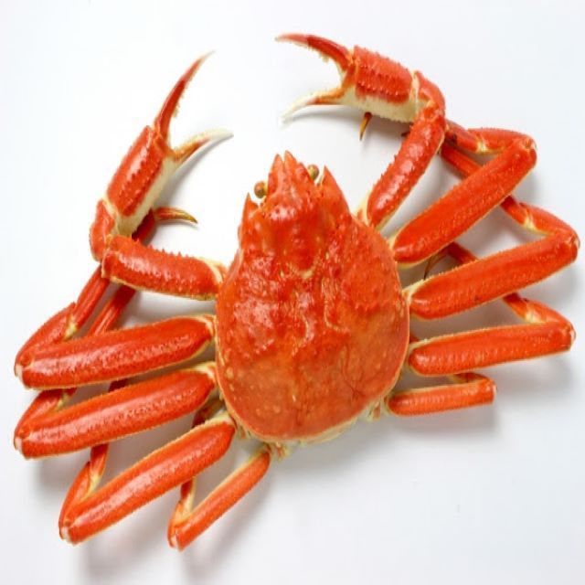 Great Quality Live Coconut Crab / Live Mud Crabs / Live King Crab Cheap price