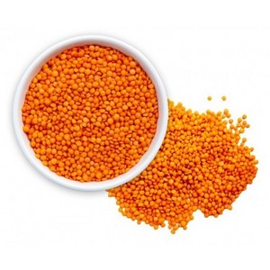 Premium Quality Best price export green red Lentils( Masoor Dal)