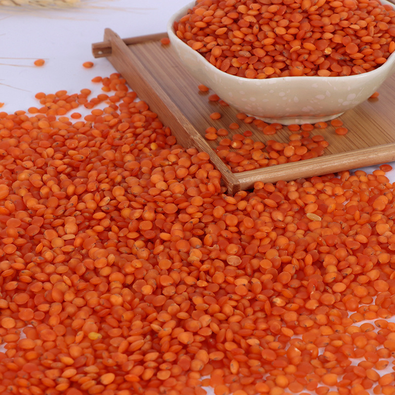 Premium Quality Best price export green red Lentils( Masoor Dal)