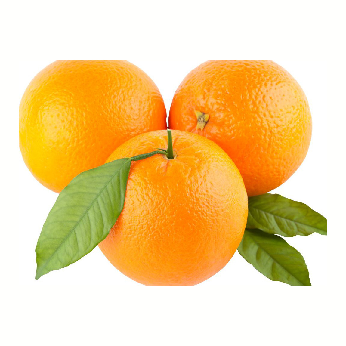 High Quality Fresh Navel Oranges Fresh oranges Valencia and Navel Fresh Orange.