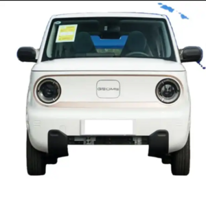 2024 Electric Vehicle New Energy Electric Panda Mini 120km Cute Bear Mini car Vehicle left hand drive  right hand drive for Sale