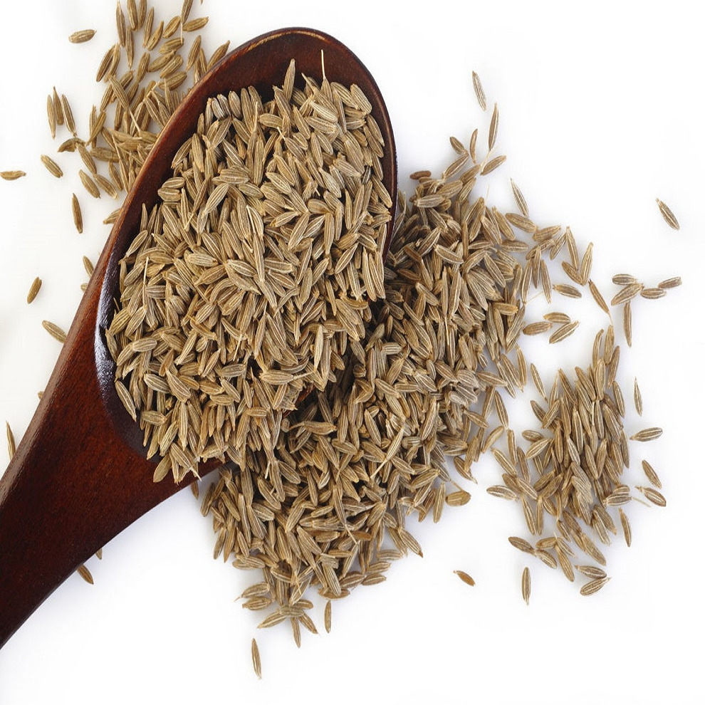 Seeds of Cumin for Export and Import