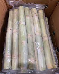 Frozen sugarcane HIGH QUALITY