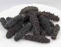 Buy %100 Best Price High Quality Dried Sea Cucumber  For Sale/dried Sea Cucumber  DRY GOODS