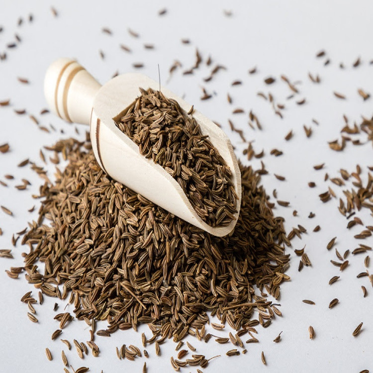 Seeds of Cumin for Export and Import