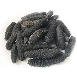 Buy %100 Best Price High Quality Dried Sea Cucumber  For Sale/dried Sea Cucumber  DRY GOODS