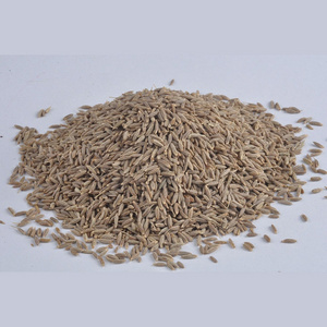 Seeds of Cumin for Export and Import