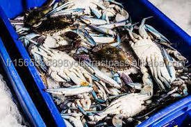 Frozen Crab Blue Swimming Crab FOR SALE