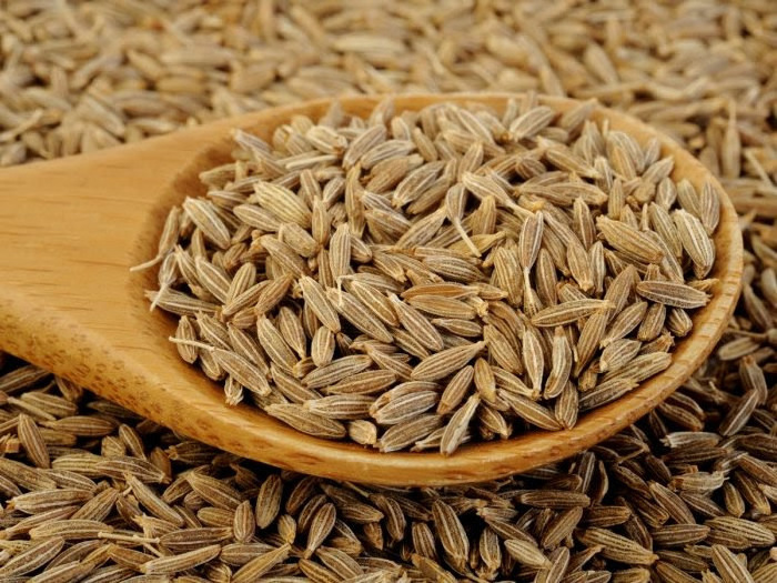 Seeds of Cumin for Export and Import