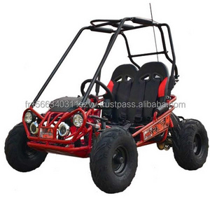 2023 high quality 175cc 275cc automatic 4 stroke dune buggy for adults, gas powered go kart  for sale