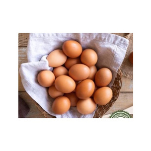 Fresh Chicken Eggs / Round Table Eggs for Sale / fertile hatching eggs