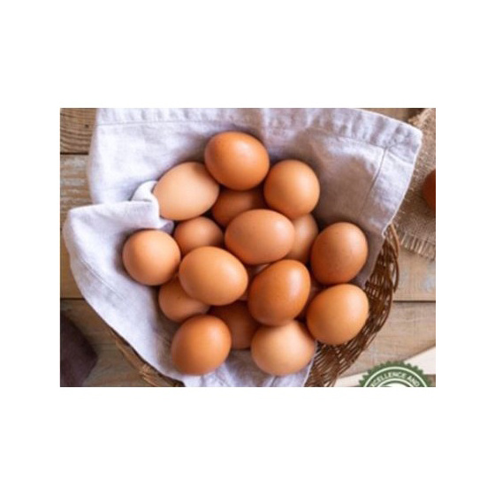 Fertile Hatching Chicken Egg / Fresh Chicken Table Eggs/Quail Eggs for Sale