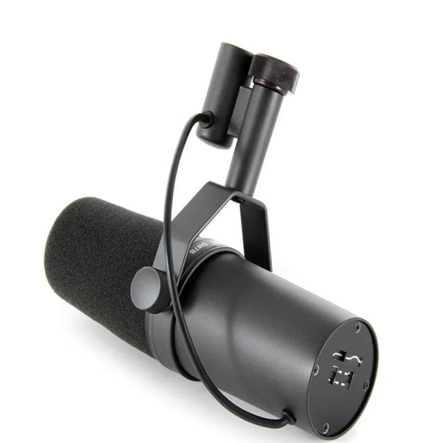 Selectable Frequency Response Recording Podcasting Cardioid Studio Microphone Dynamic Vocal Microphone